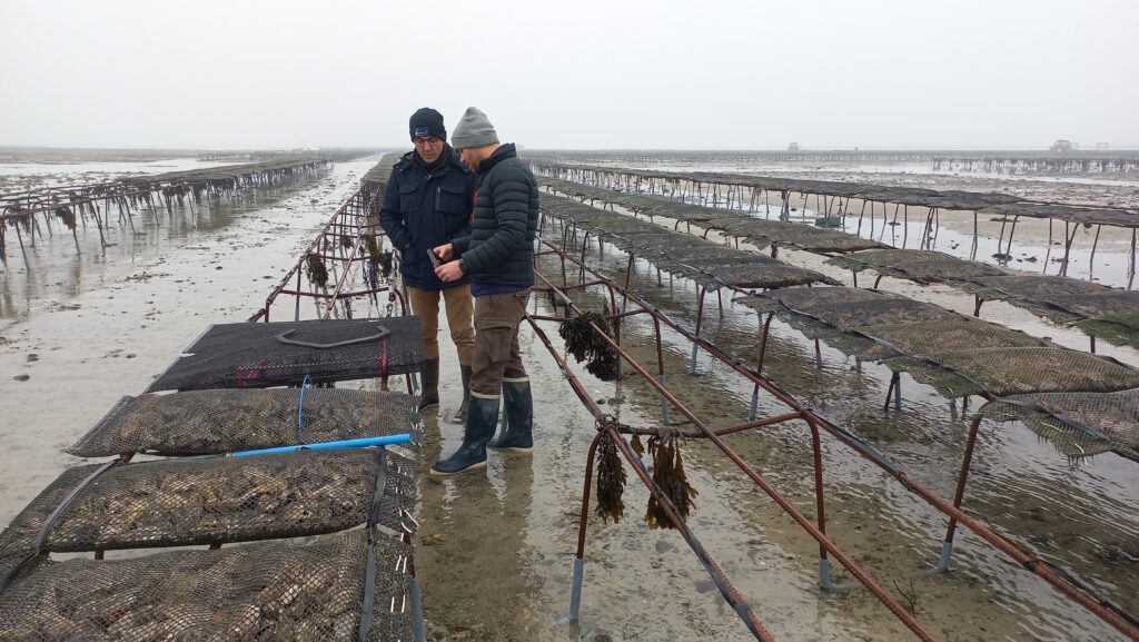 auray plast codeveloppement